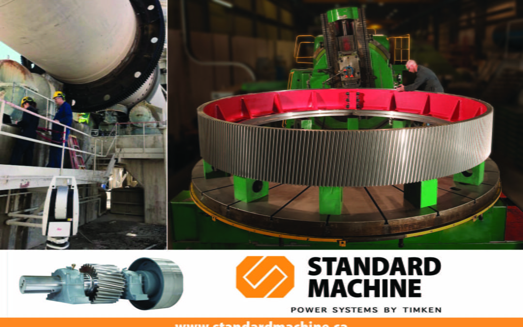 Large Diameter Dryer Gears & Pinions